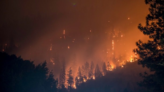 global warming forest fire