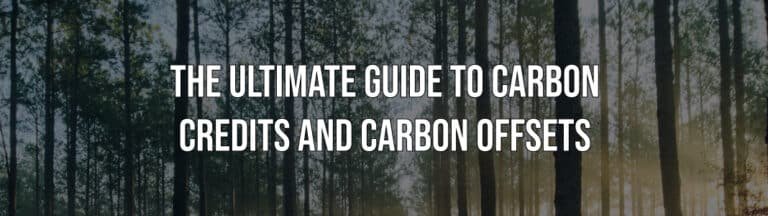 The Ultimate Guide to Understanding Carbon Credits