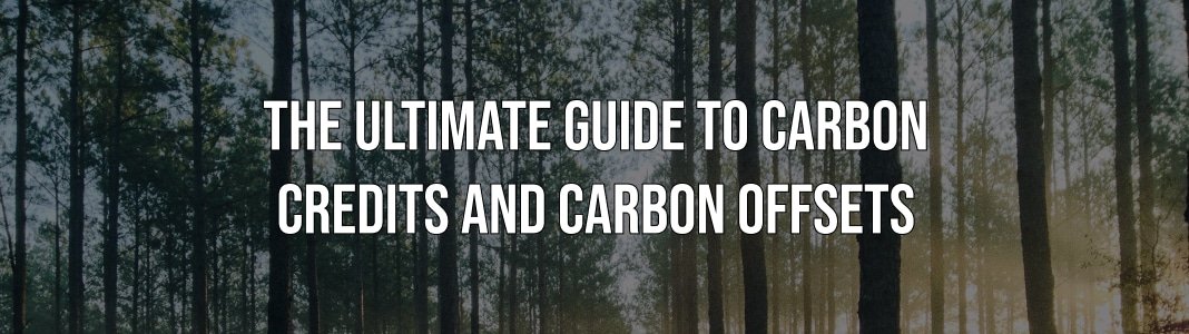 The Ultimate Guide to Understanding Carbon Credits • Carbon Credits