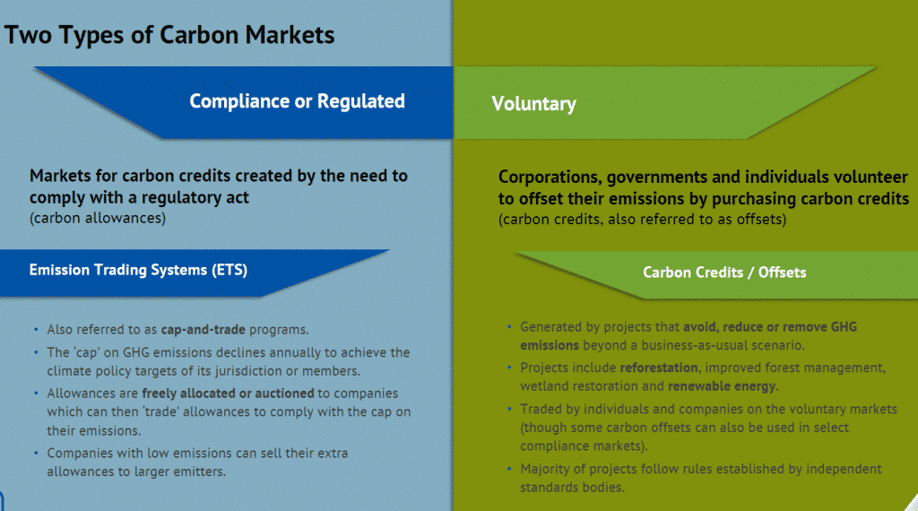 Hai loại thị trường carbon