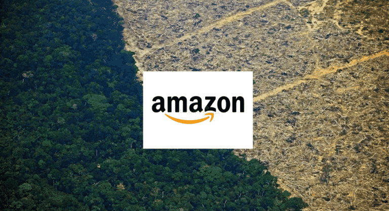 Amazon Rolls Out Rainforest Carbon Offset Project