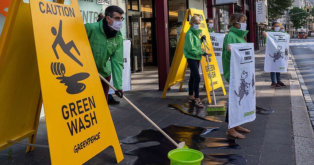 Greenpeace greenwash carbon offset