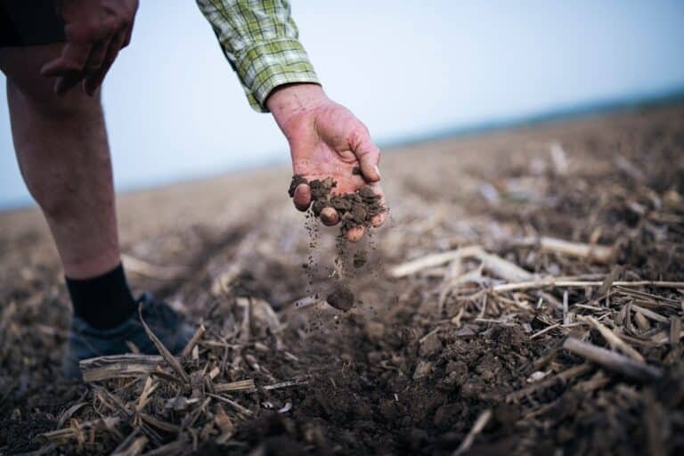 Carbon Credit Farming