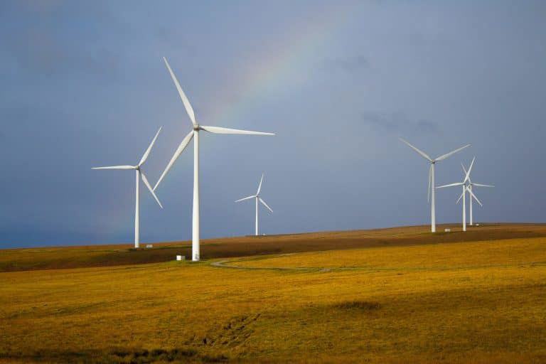 In green energy push, the UK plans to hold annual renewables auctions