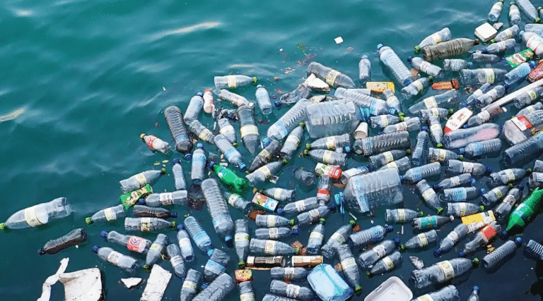 New Enzyme That Breaks Down Plastics May Boost Plastic Credits