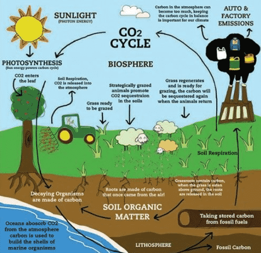 soil carbon sequestration