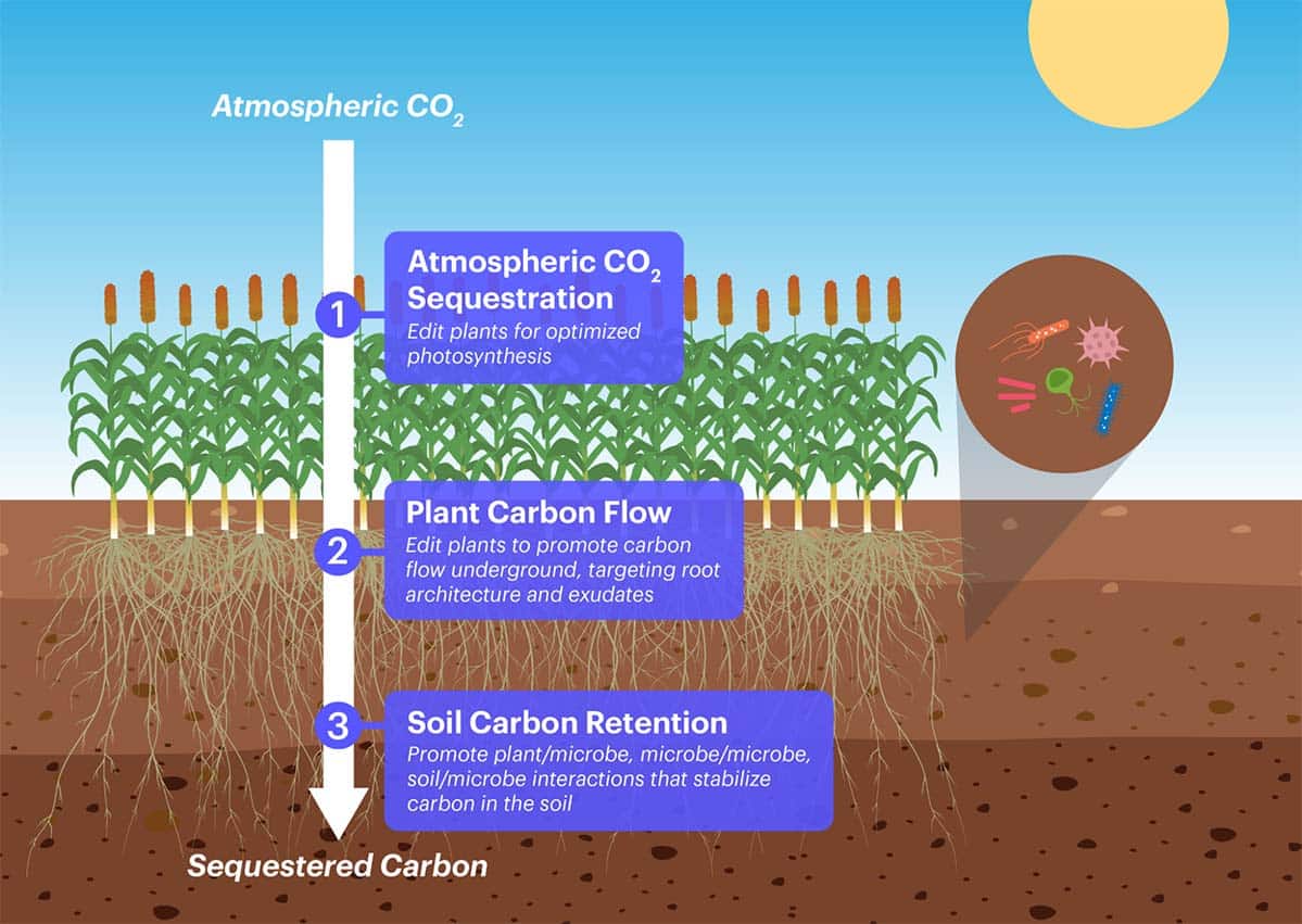 IGI soil carbon removal tech