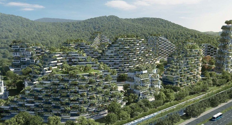 Urban Forest Carbon