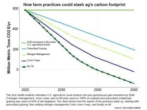 Who Issues Carbon Credits? (Everything You Need To Know)