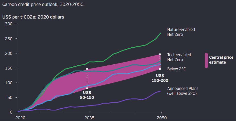 triển vọng giá tín dụng carbon
