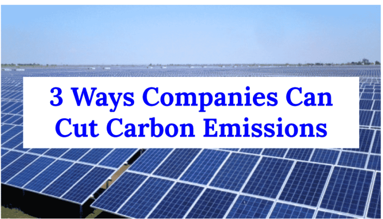 Best Ways Companies Can Cut Carbon Emissions (3 Tips That Work)