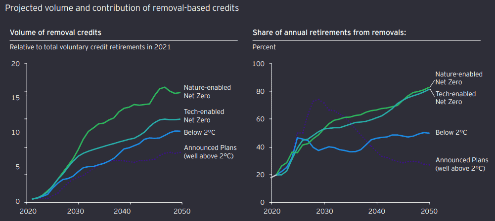 removals carbon credits outlook