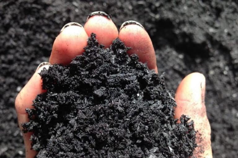 Verra  To Release Methodology For Biochar Carbon Credit Projects