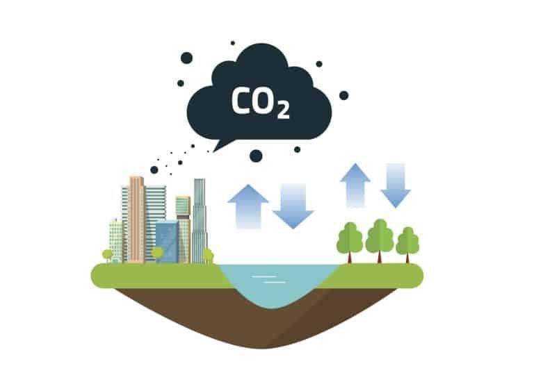 Understanding The Carbon Cycle and How it Changes the Climate