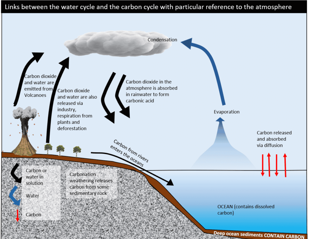 Understanding The Carbon Cycle And How It Changes The Climate