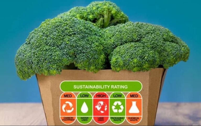 Carbon Footprint Labels for Food