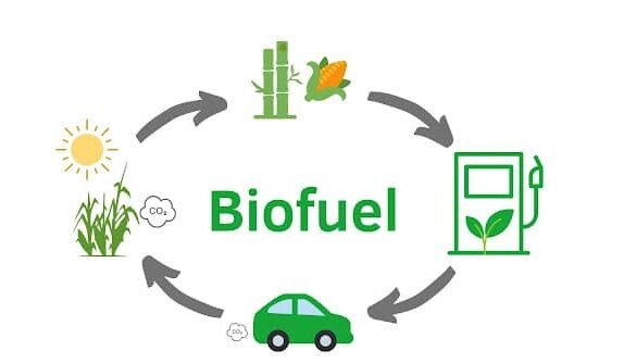 biofuel incentives and carbon credits