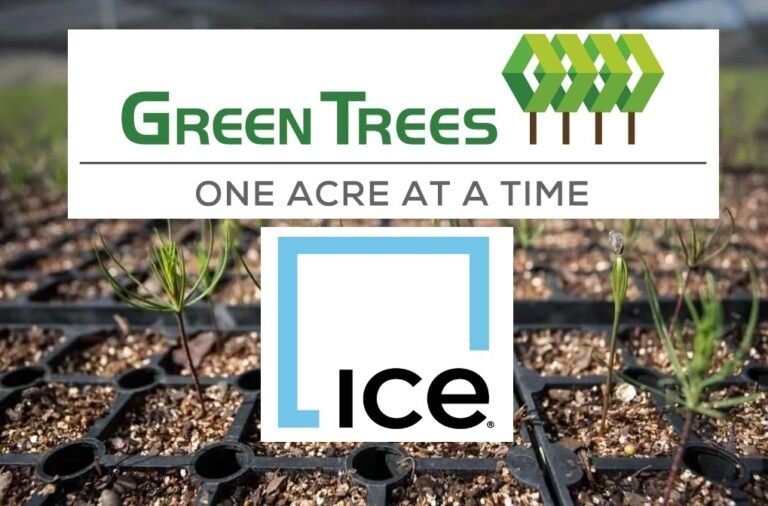 ICE to Auction 500,000 Reforestation Carbon Credits