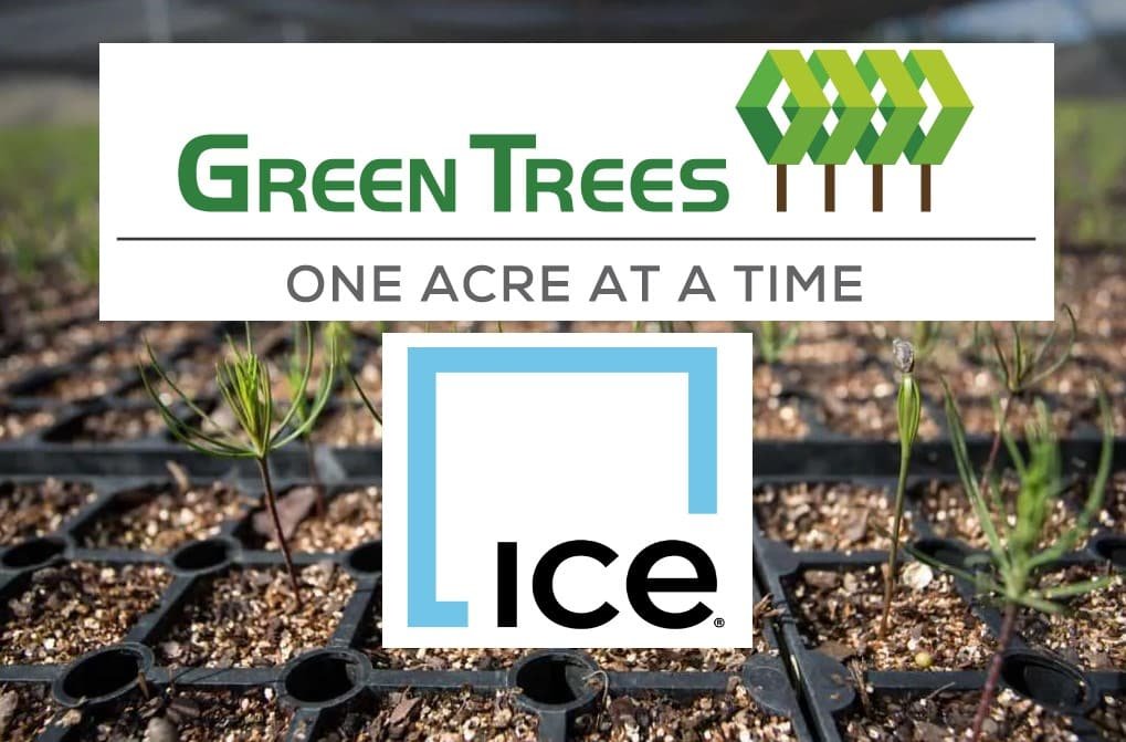 Green Trees ICE