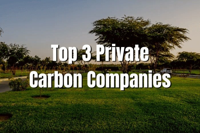 top private carbon companies