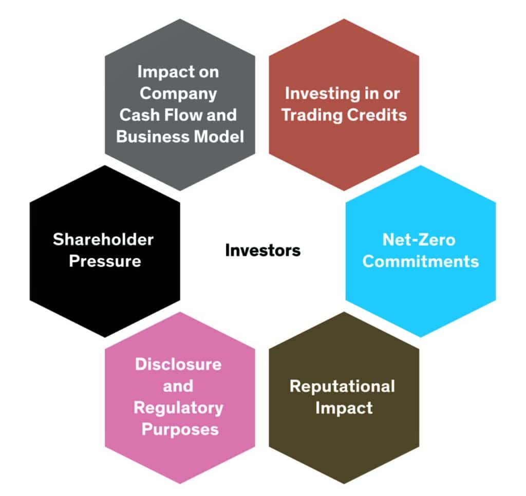 why carbon credits matter in ESG investing