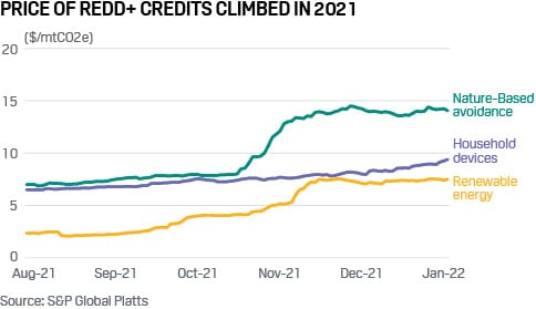 REDD+ carbon credits