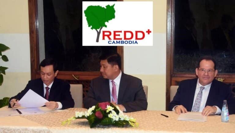 Cambodia to Sell 15 Million Tonnes of REDD+ Carbon Credits