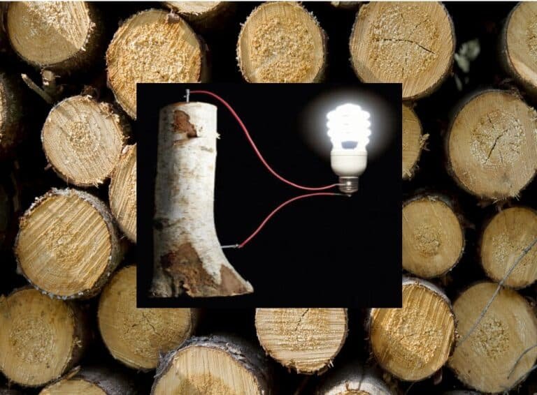 Batteries From Wood: A Renewable Energy Storage Solution