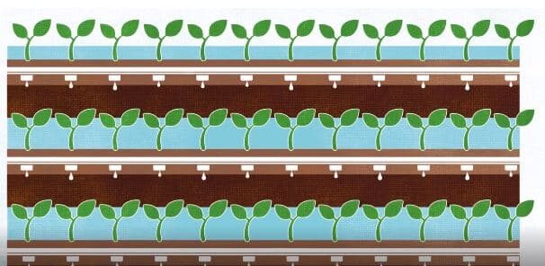 Netafim drip irrigation system