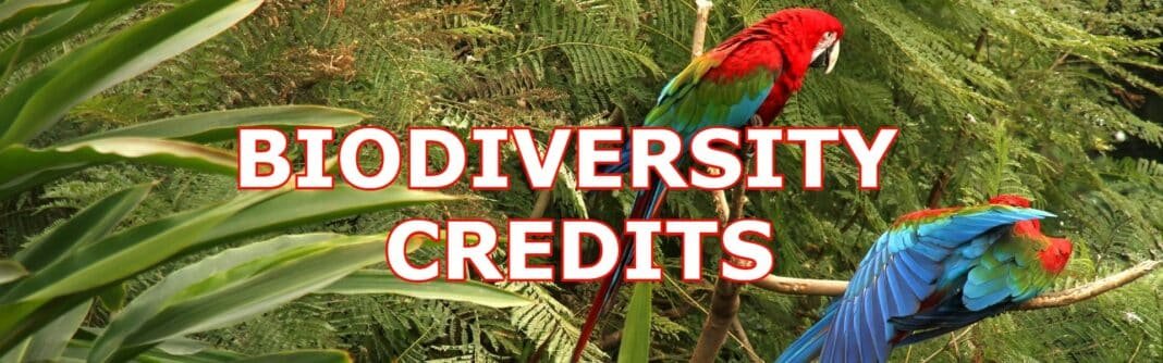 biodiversity credits