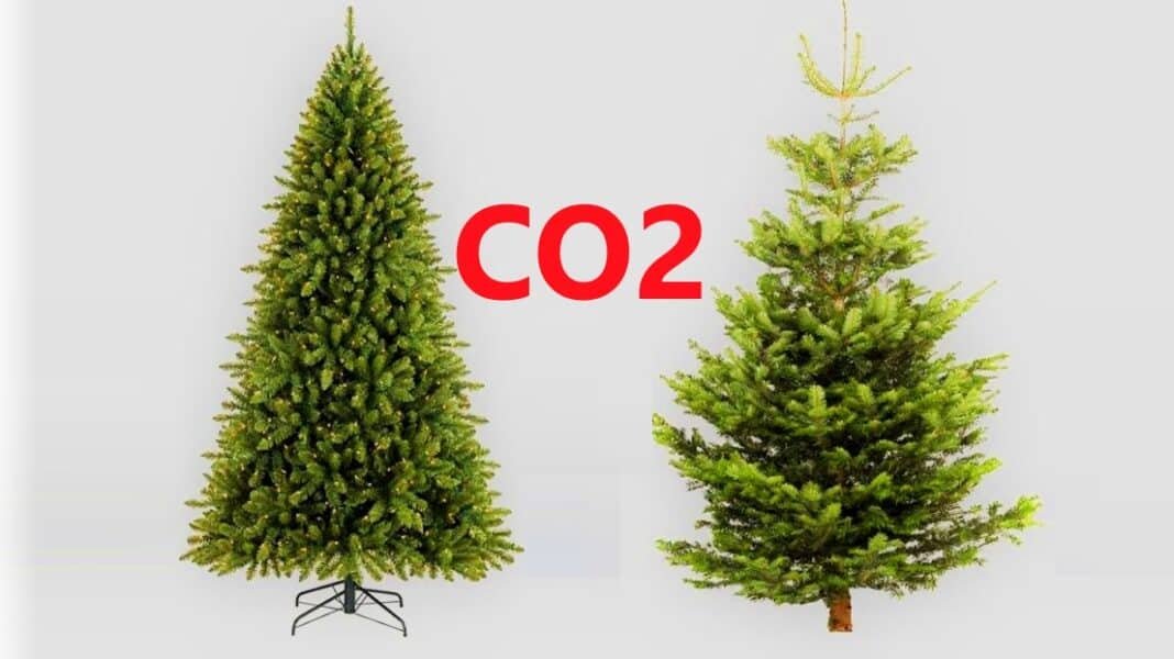 Christmas tree carbon emissions