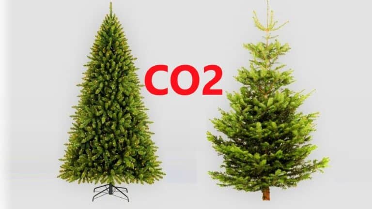 Christmas Tree Carbon Emissions: The Real vs. Fake Breakdown