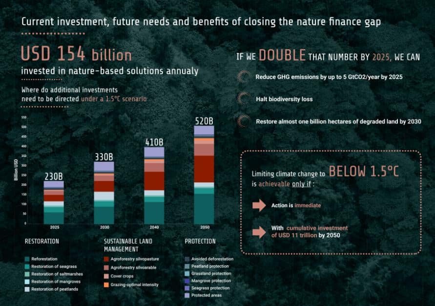 nature based financing gap