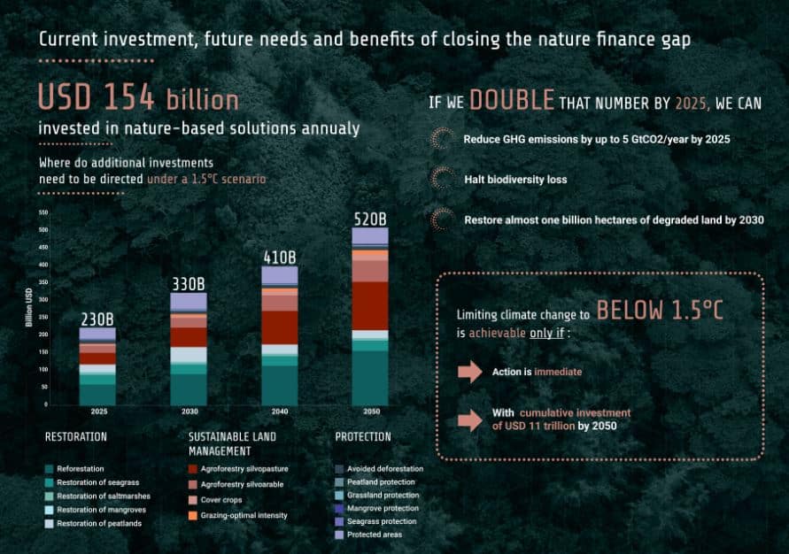 nature based financing gap