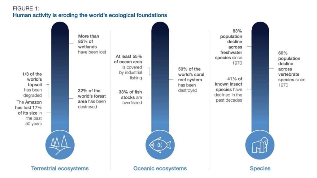 Biodiversity Credits: A New Way of Funding Nature Protection