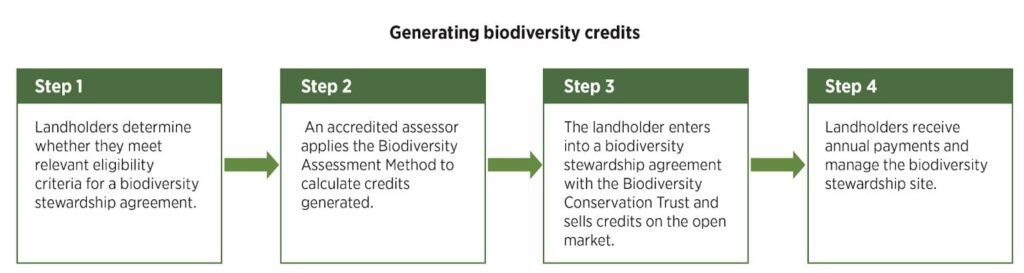 Biodiversity Credits: A New Way Of Funding Nature Protection