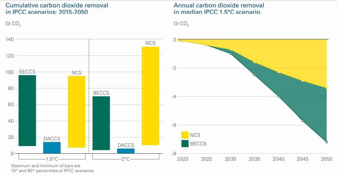 carbon removal technologies net zero