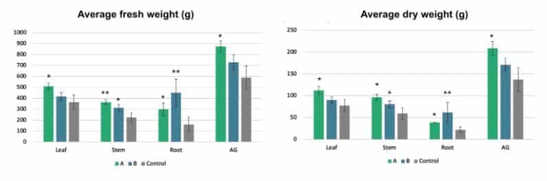 Living Carbon biotechnology increases biomass accumulation