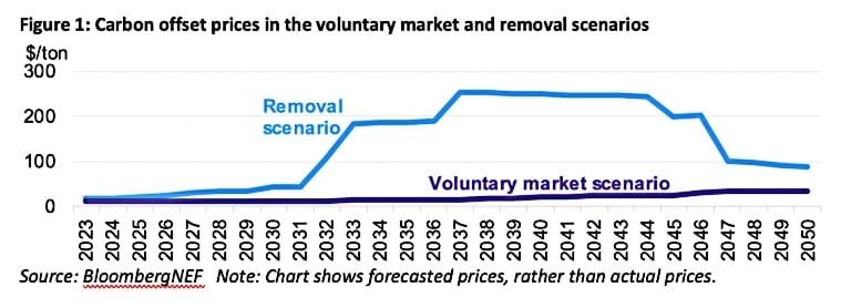 carbon prices VCM and removal scenarios