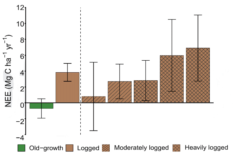 logged forests source of carbon emission