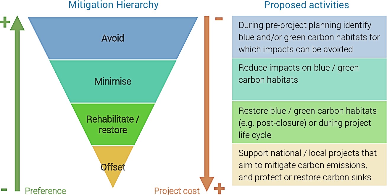 How Do Carbon Offset Credits Work Guide