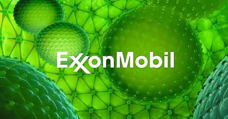 Exxon Ends Multi-million Dollar Support to Algae Research