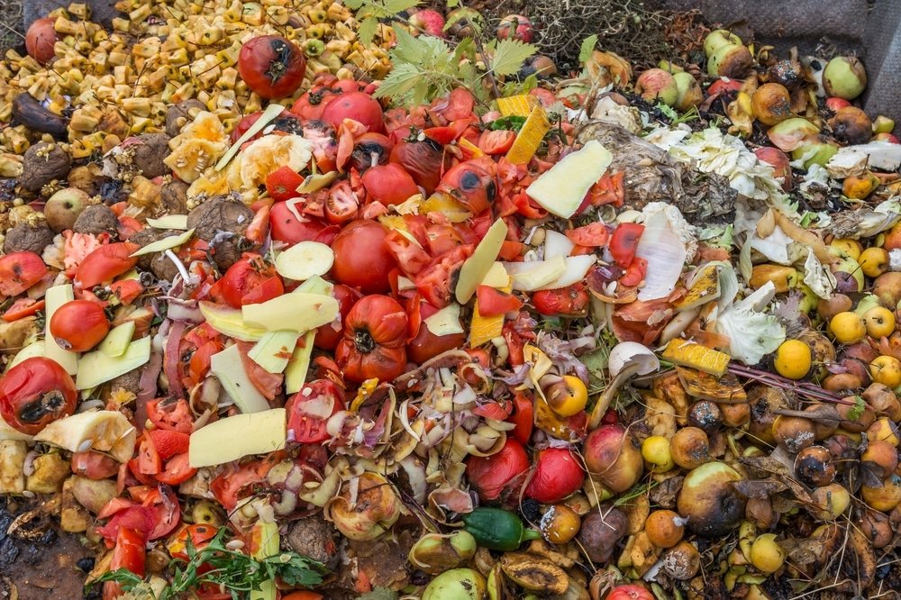 corezero food waste into carbon credits