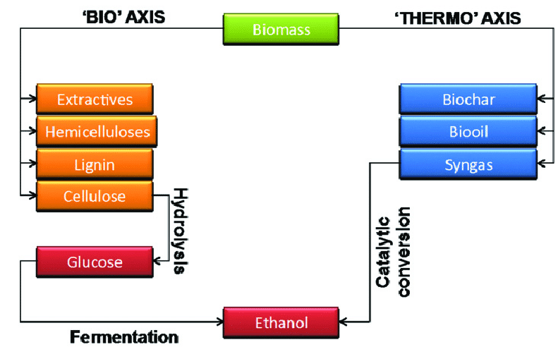 bio and thermo pathways to produce ethanol from biomass