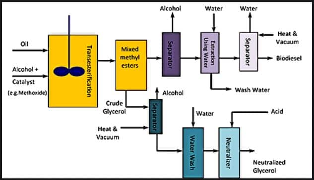 biodiesel production