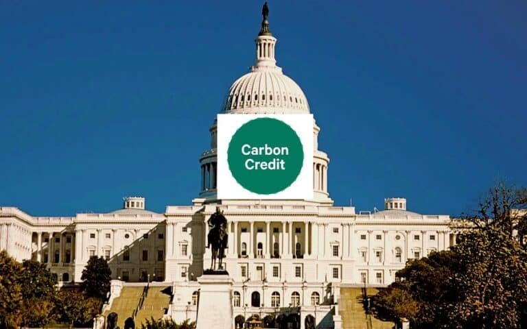 carbon credit and government policy