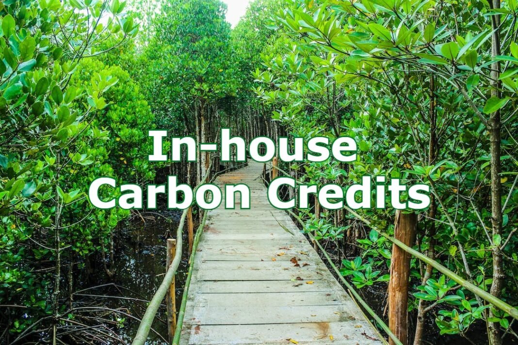 corporate in-house carbon credits