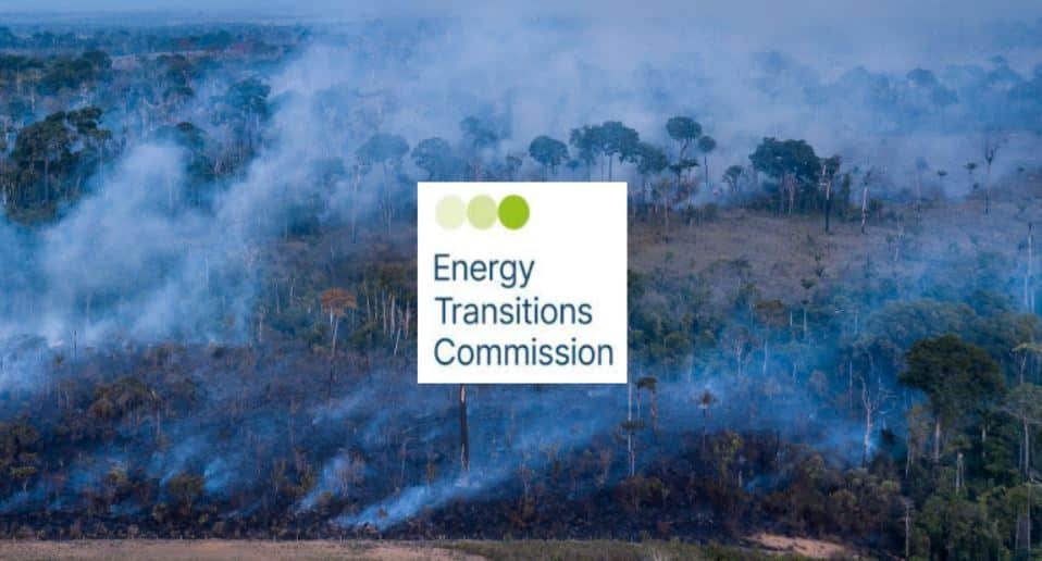 cost of deforestation ETC report