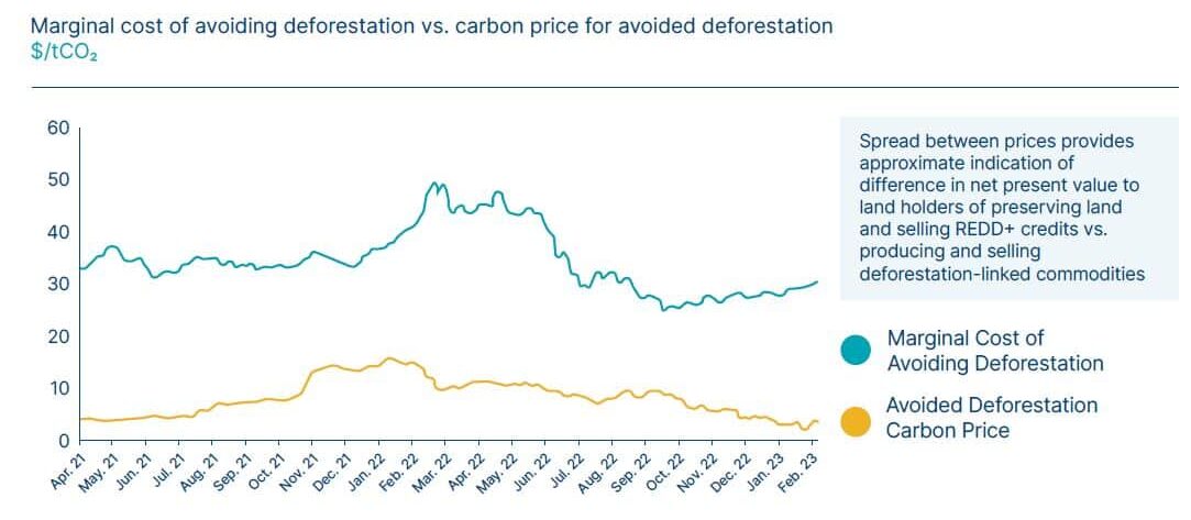 Bluesource's Carbon Credit Strategy: An Easement Debate Shaping New  Hampshire's Forests