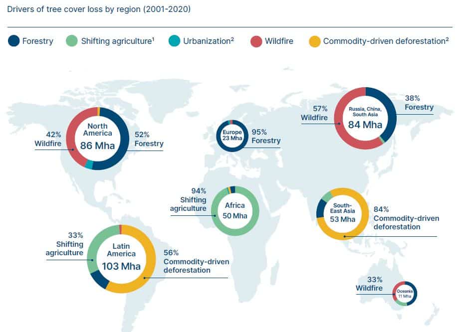 drivers of deforestation